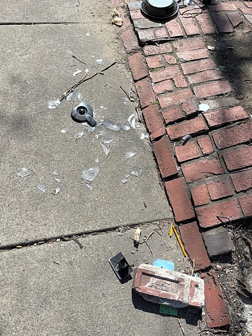 Image submitted with report