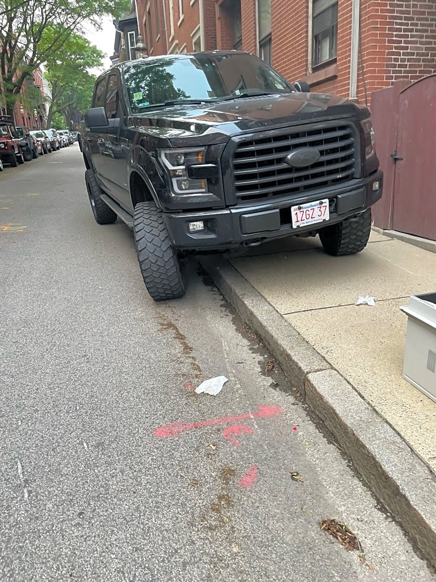 Image submitted with report