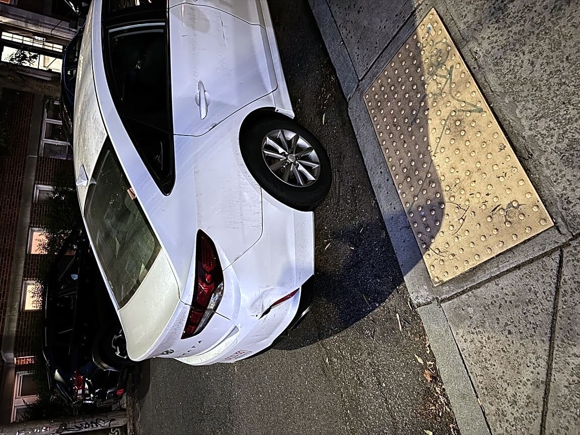 Image submitted with report