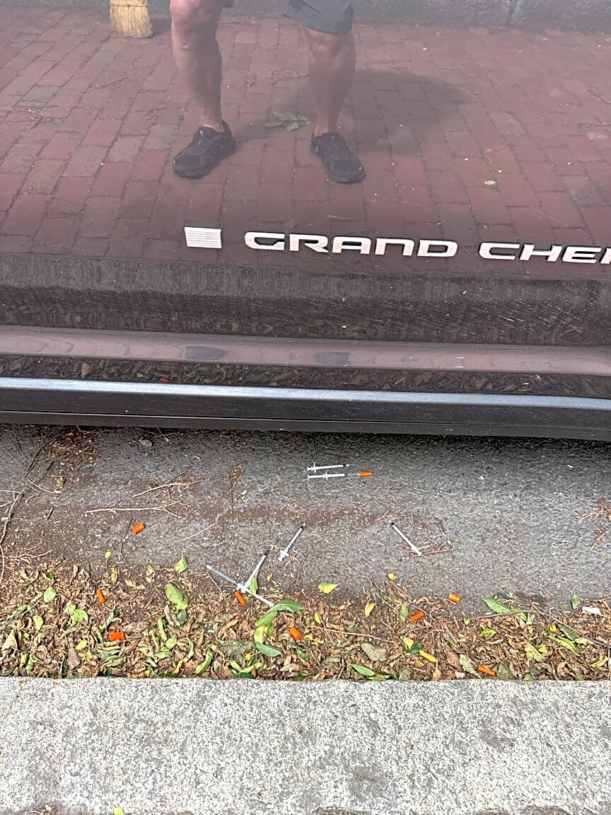 Image submitted with report