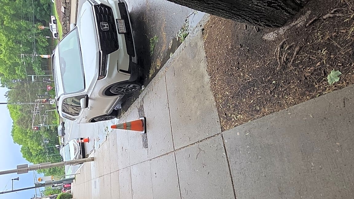 Image submitted with report