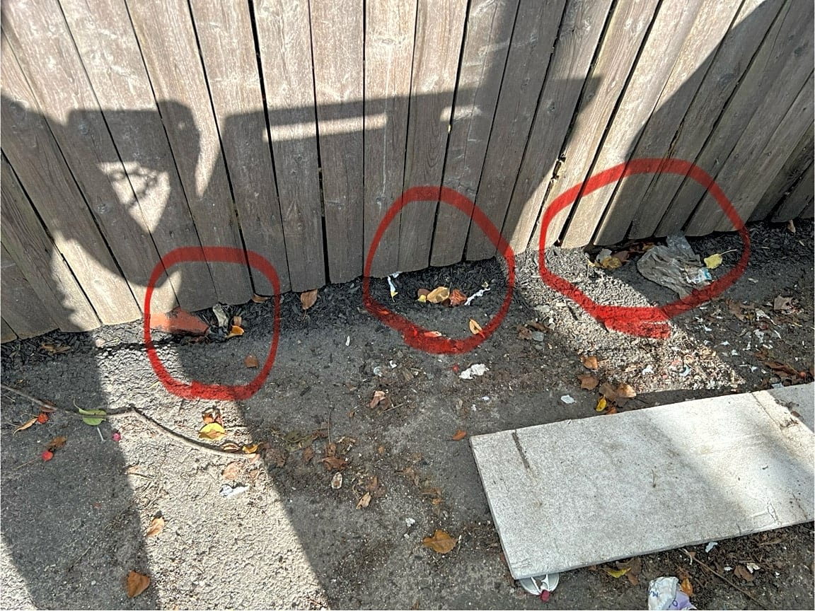 Image submitted with report