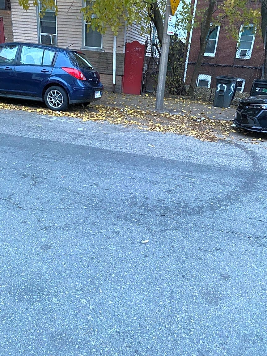 Image submitted with report