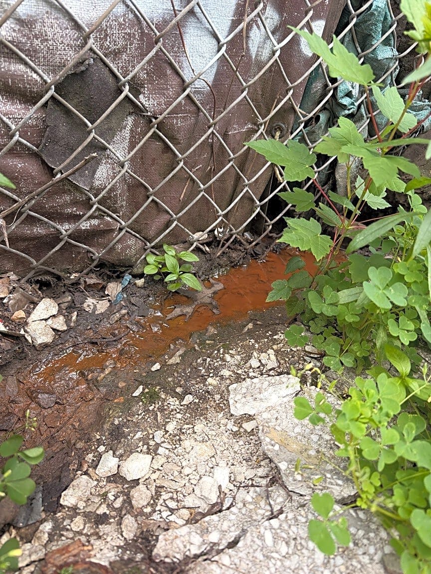 Image submitted with report