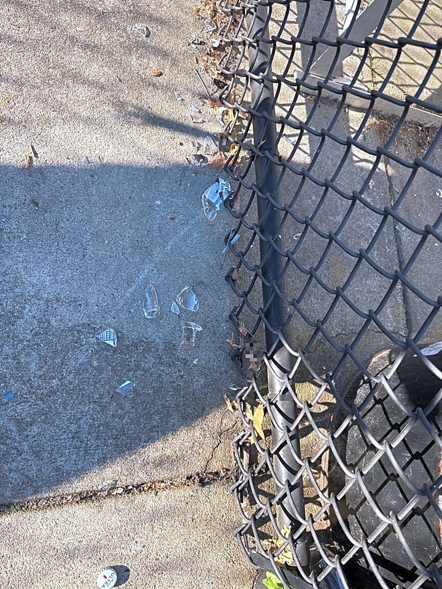 Image submitted with report