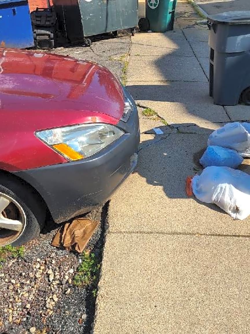 Image submitted with report