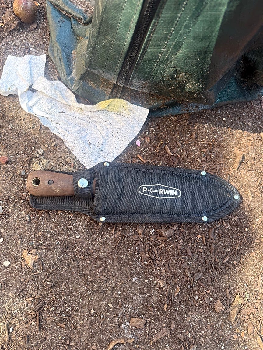 Image submitted with report