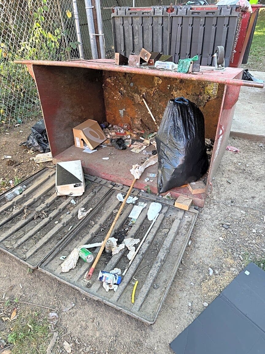 Image submitted with report