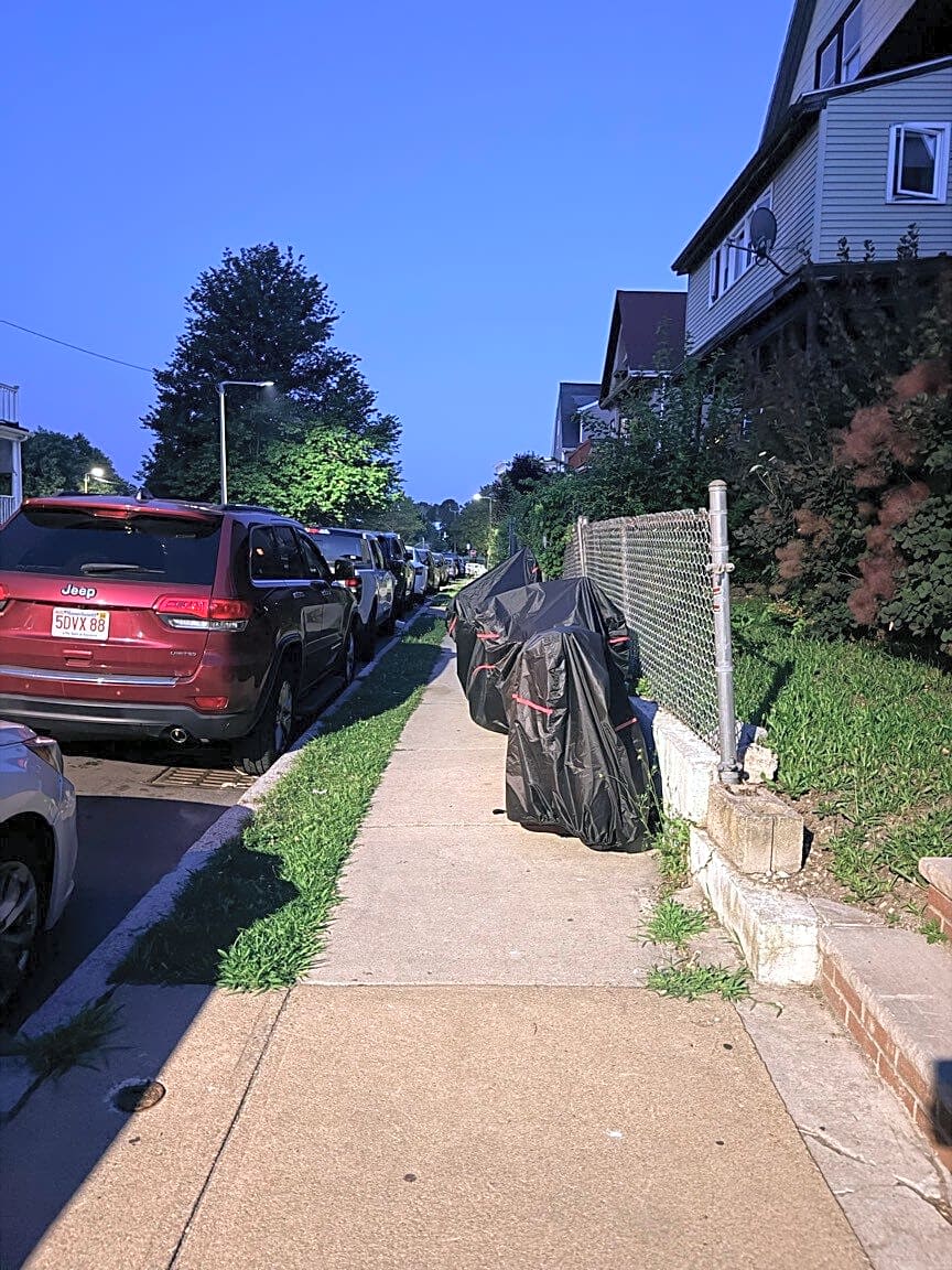 Image submitted with report