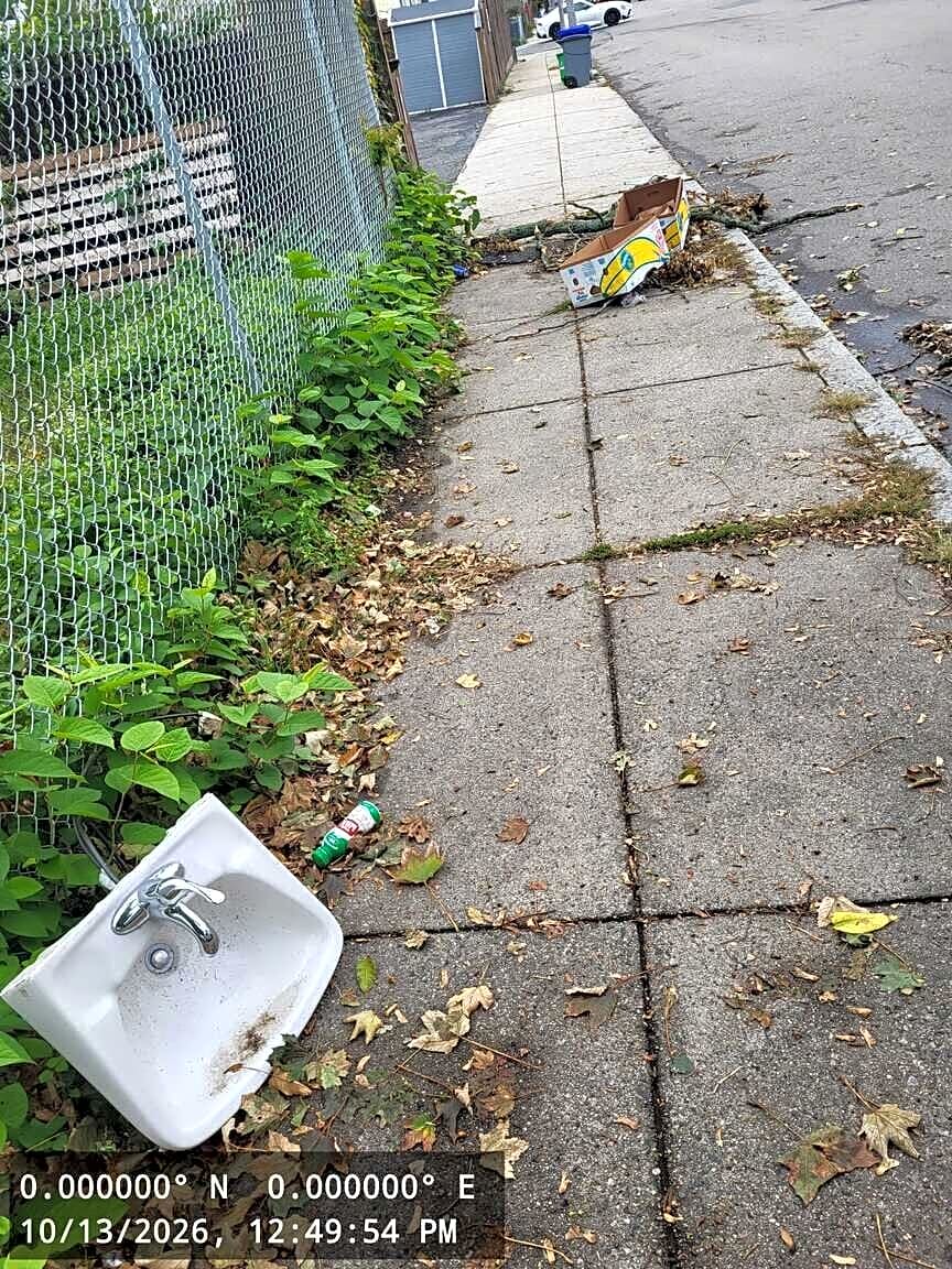 Image submitted with report