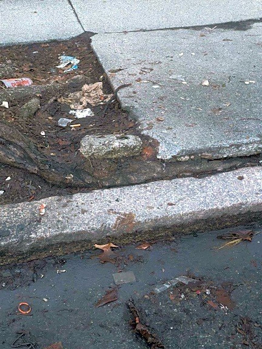 Image submitted with report