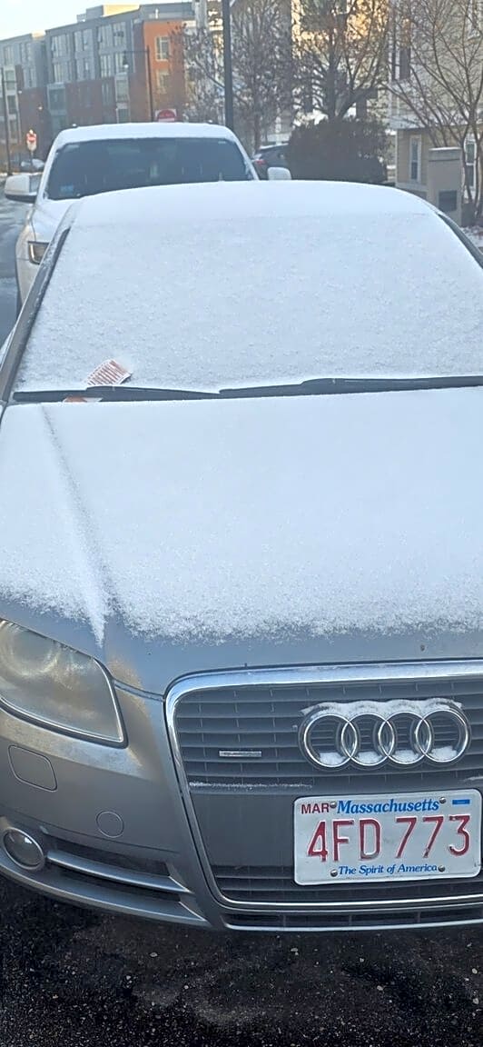 Image submitted with report