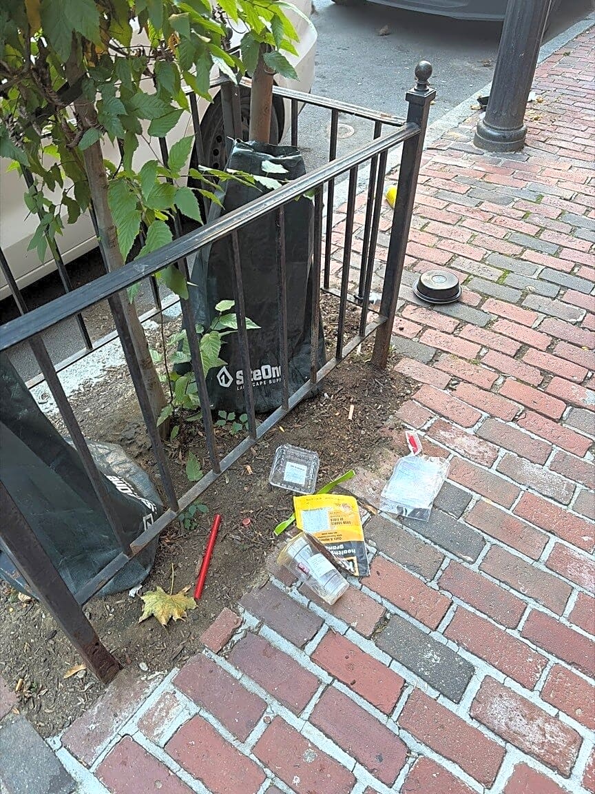 Image submitted with report