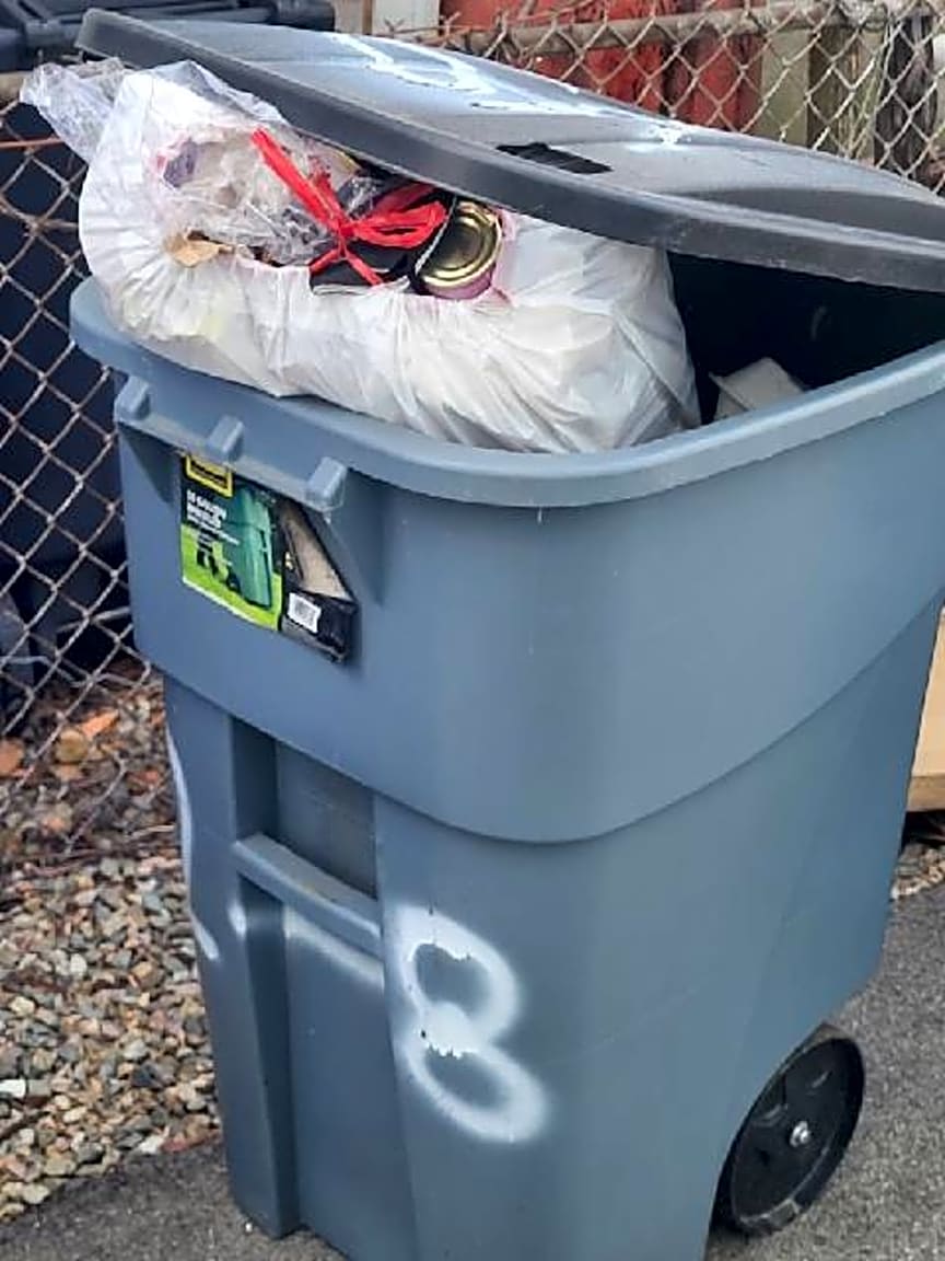 Image submitted with report