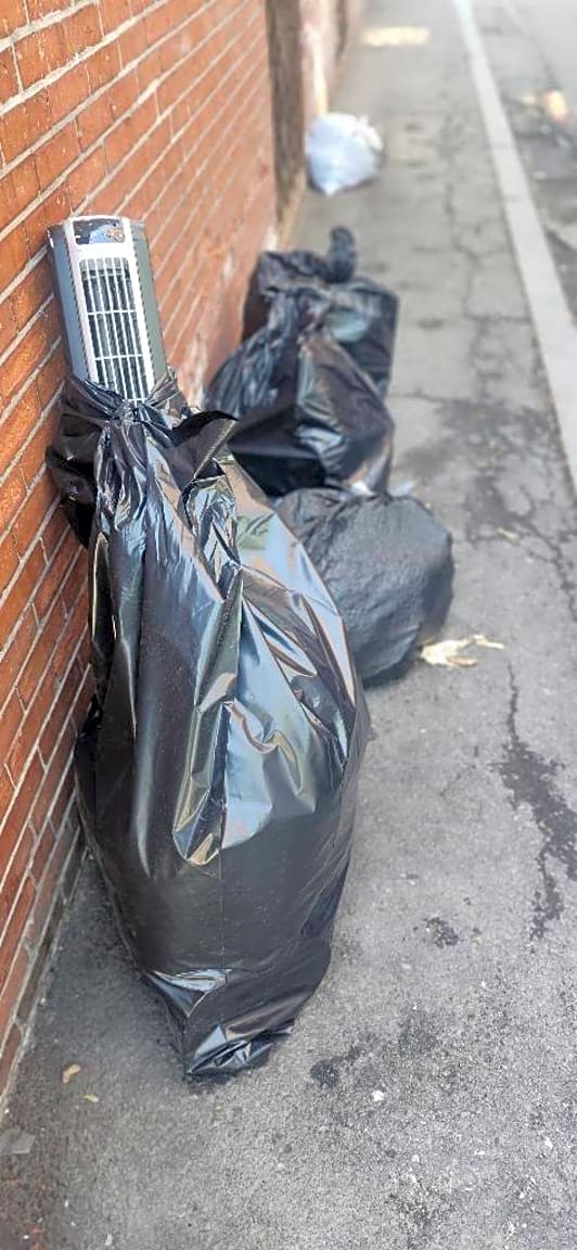 Image submitted with report