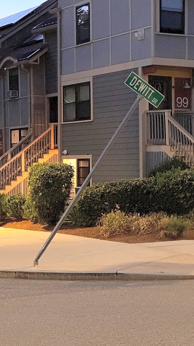 Image submitted with report