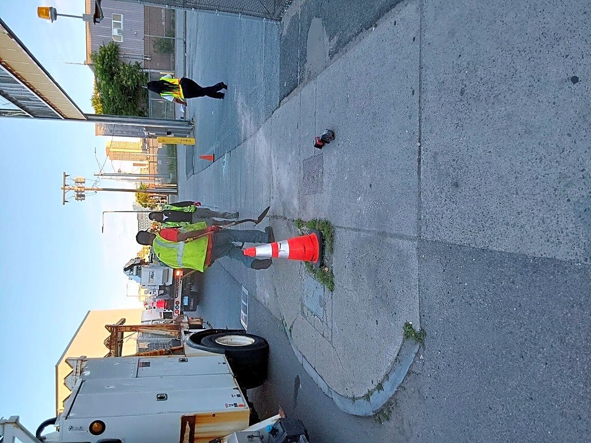 Image submitted with report
