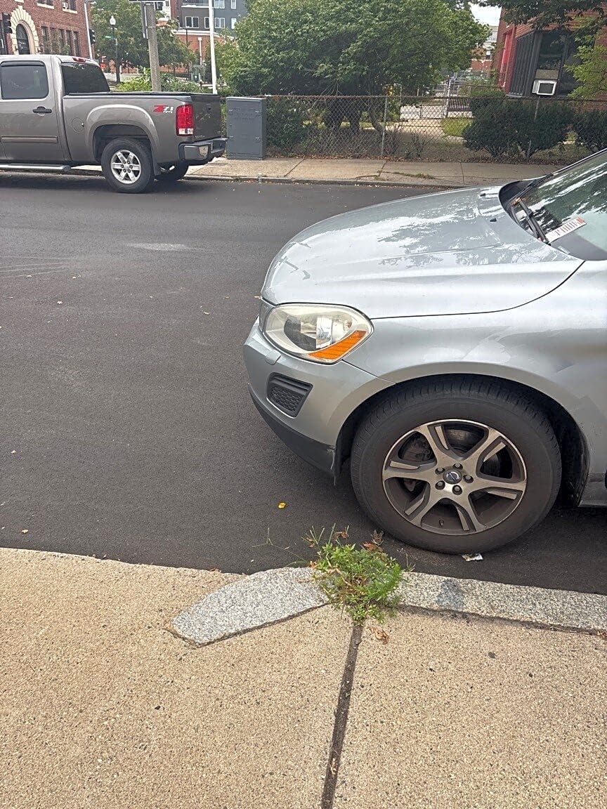 Image submitted with report