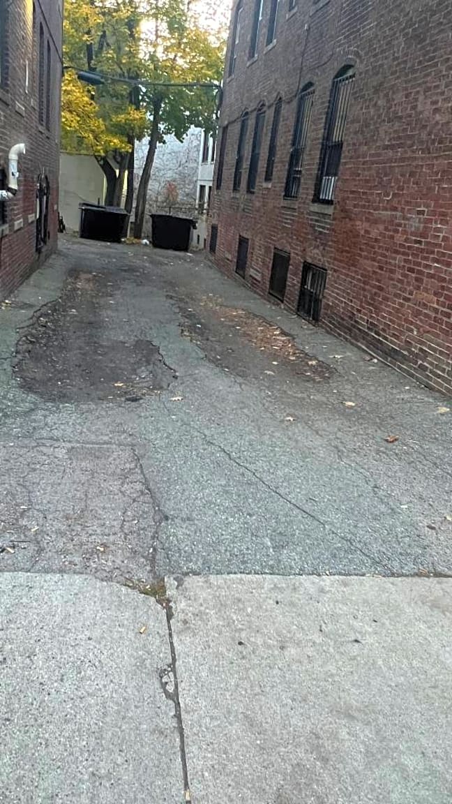 Image submitted with report