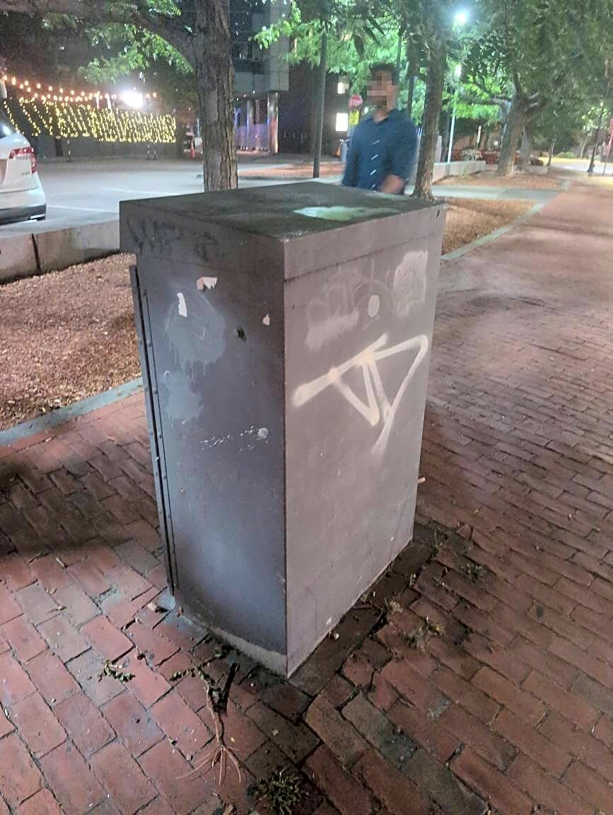 Image submitted with report