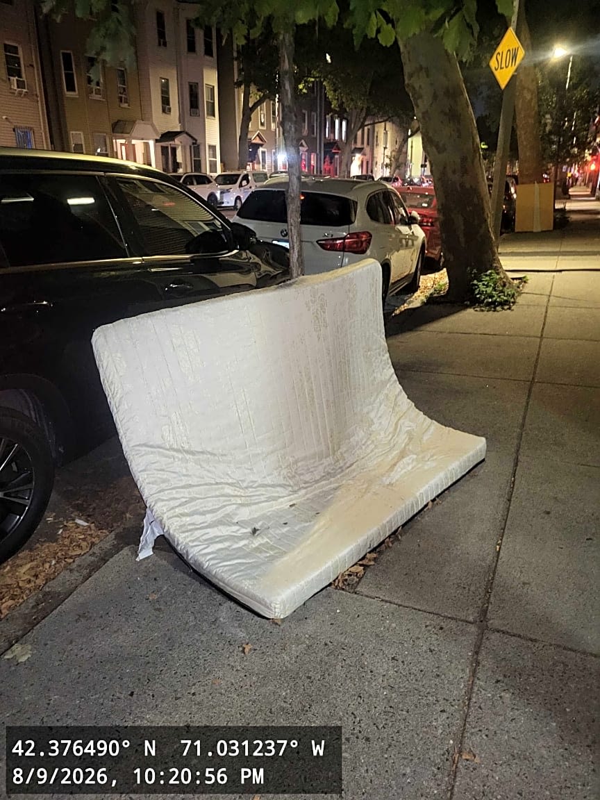 Image submitted with report