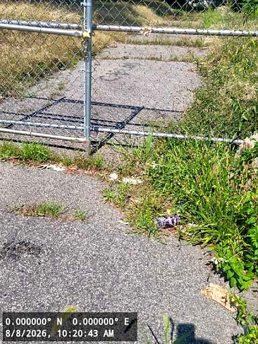 Image submitted with report