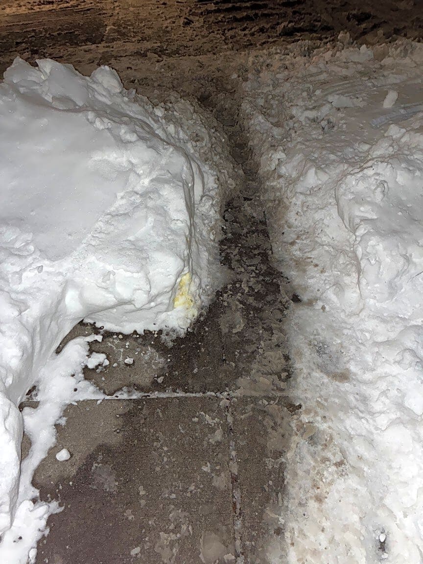 Image submitted with report