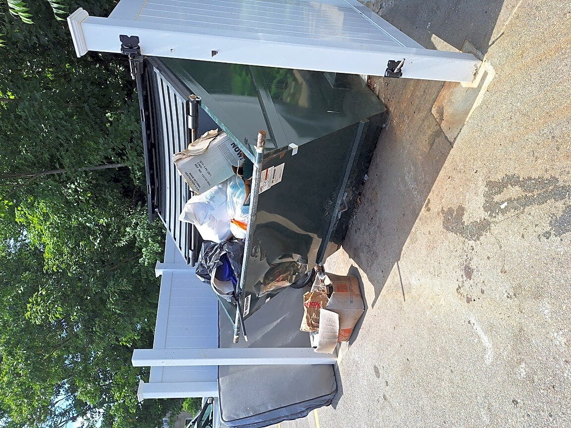 Image submitted with report