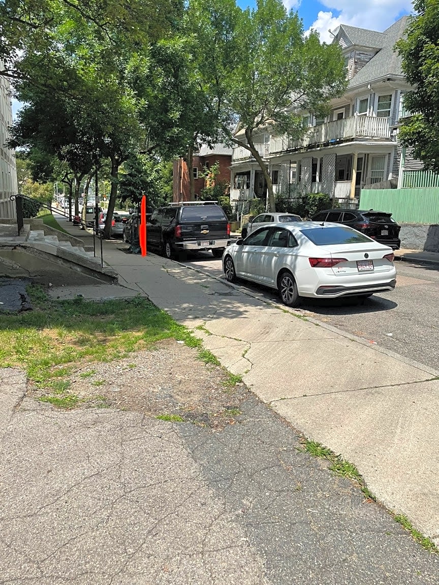 Image submitted with report