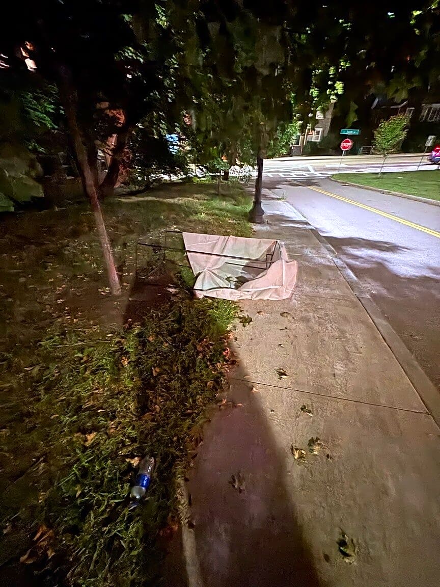 Image submitted with report