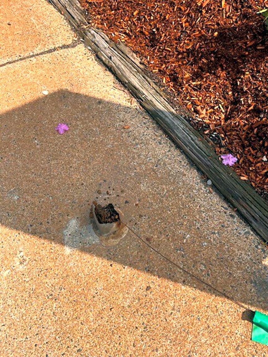 Image submitted with report