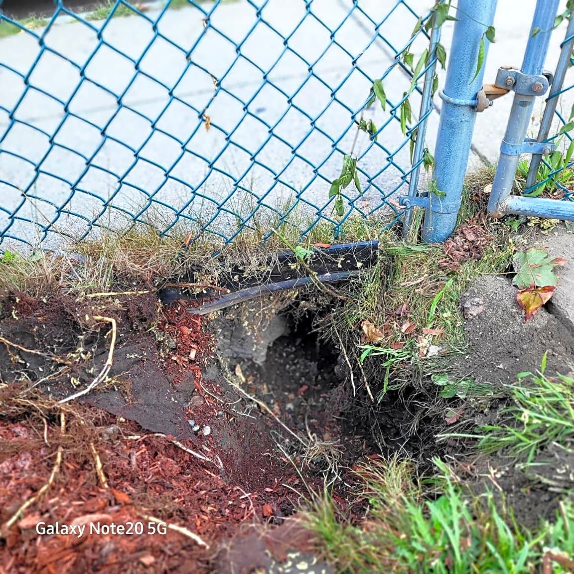 Image submitted with report