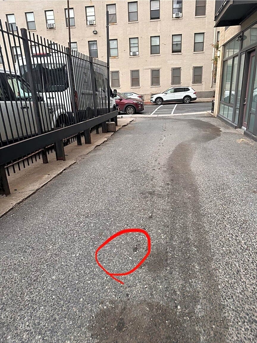 Image submitted with report