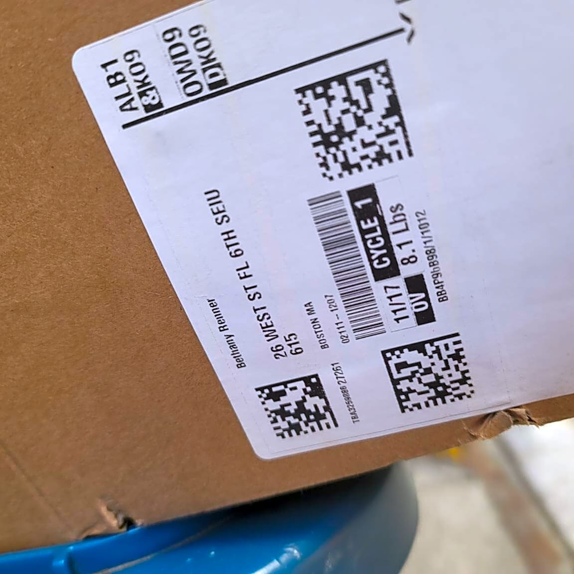 Image submitted with report