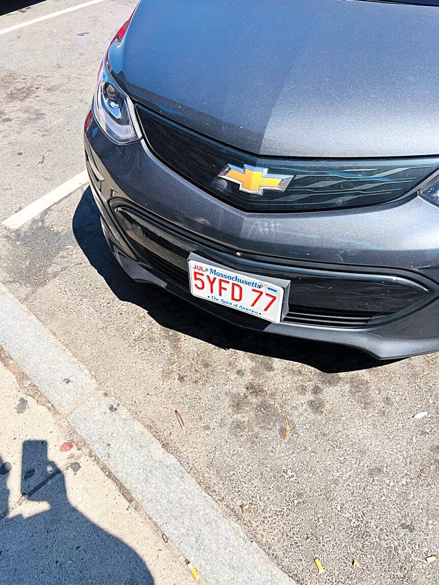 Image submitted with report