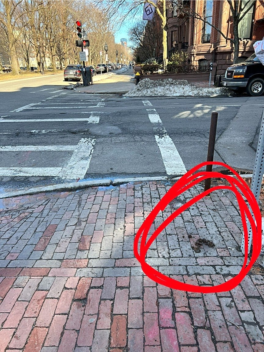 Image submitted with report