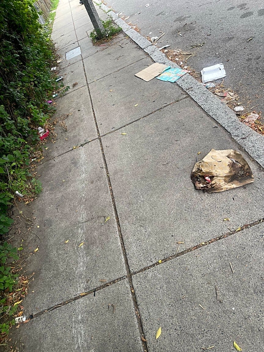 Image submitted with report