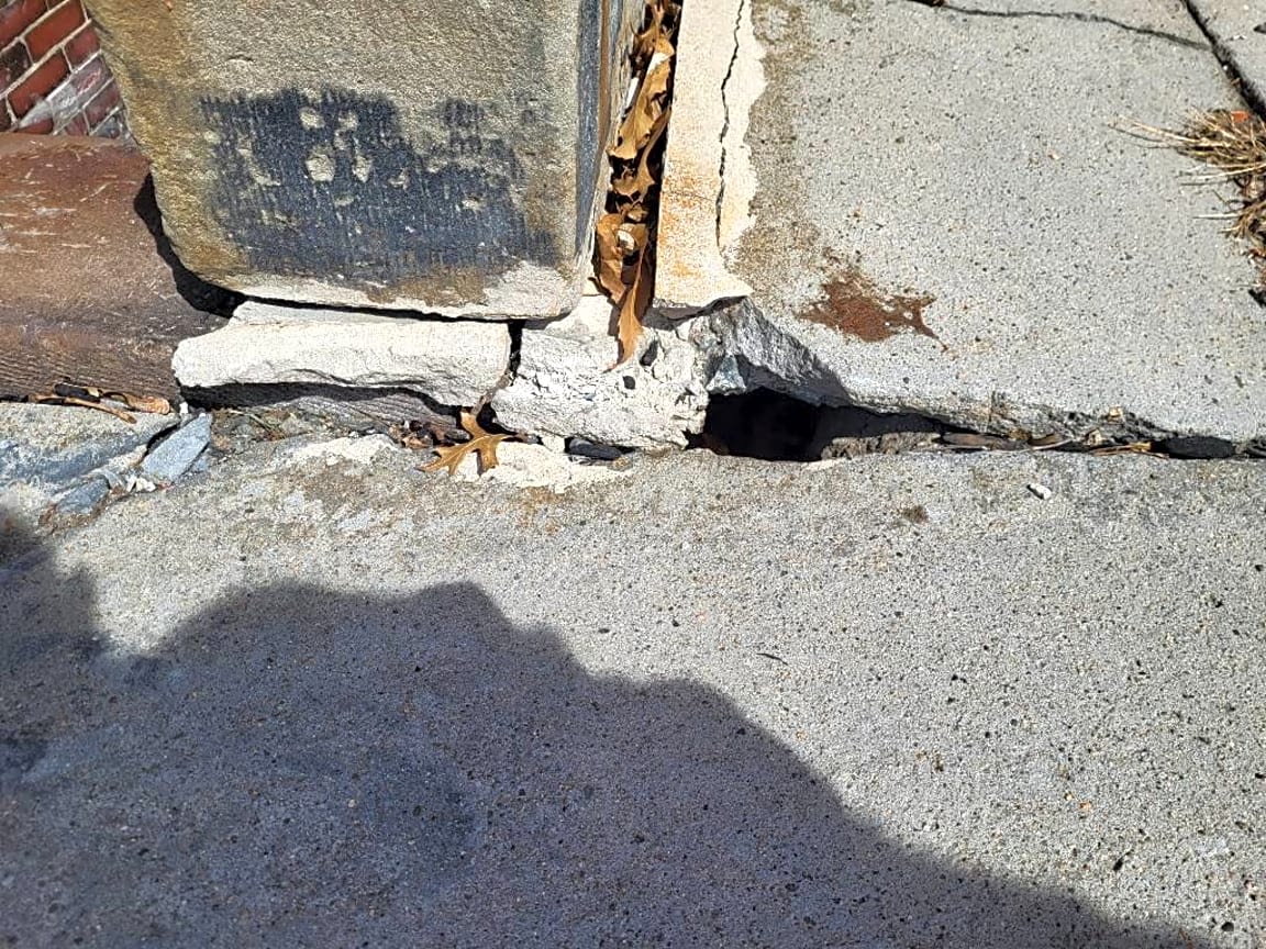 Image submitted with report