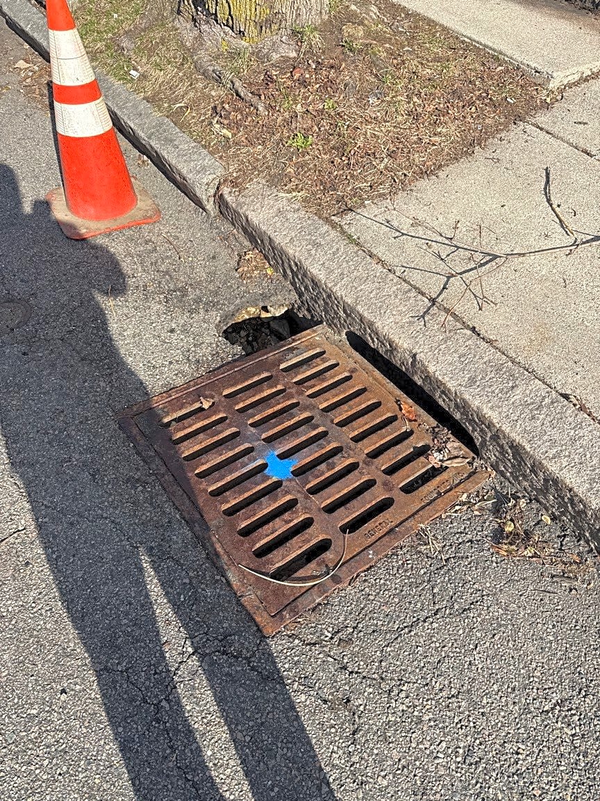 Image submitted with report