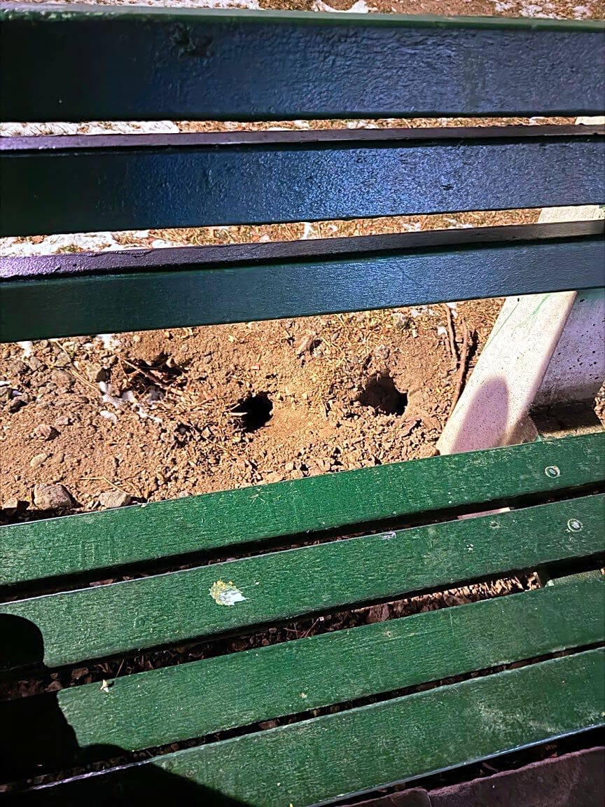 Image submitted with report