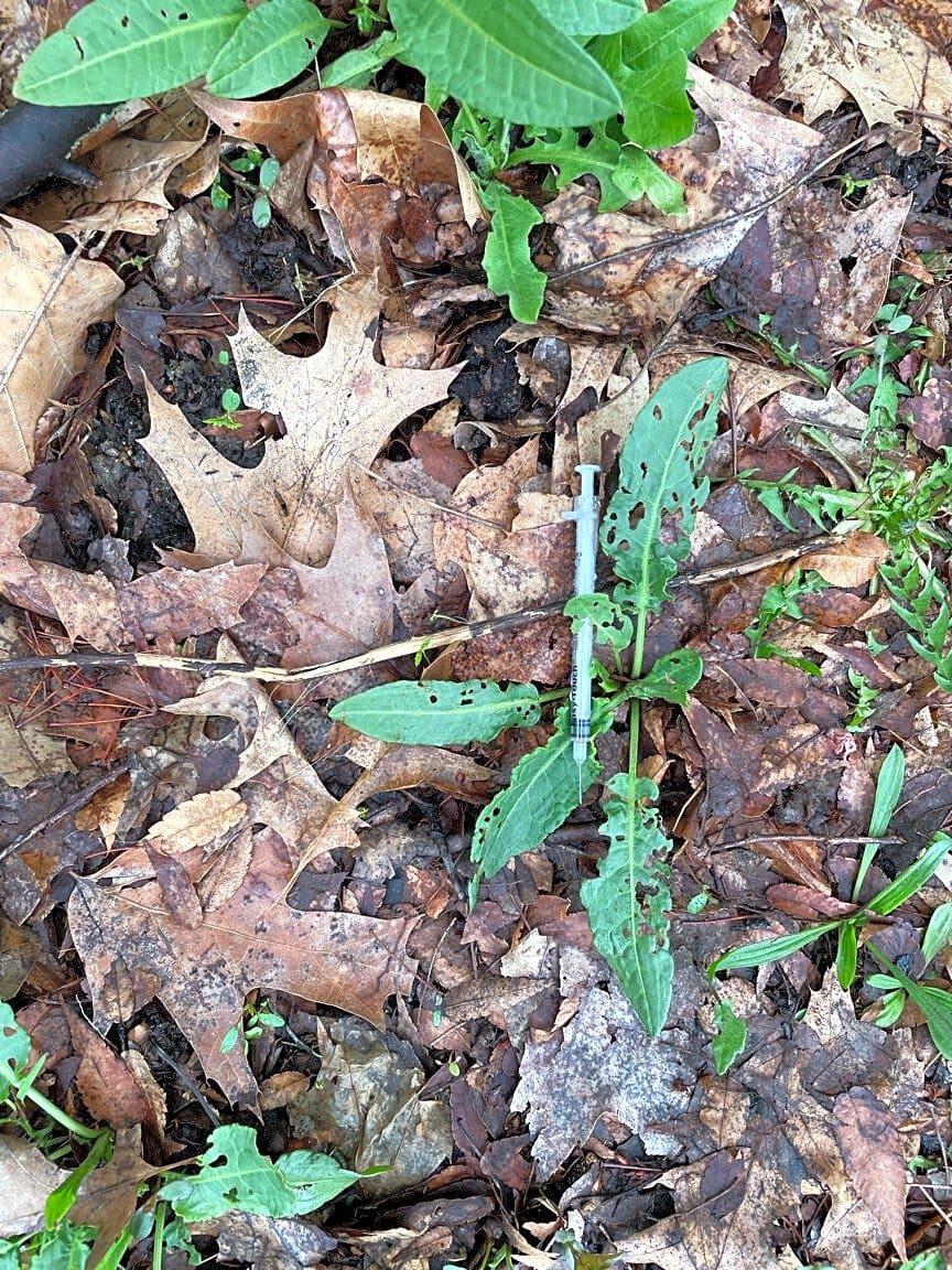 Image submitted with report