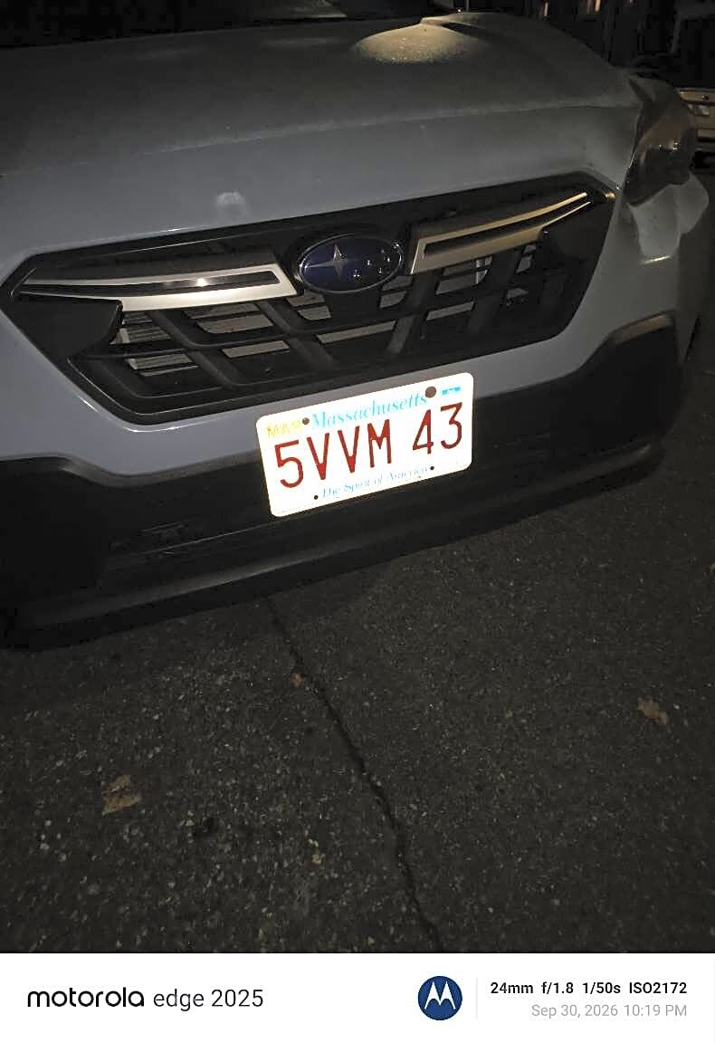 Image submitted with report