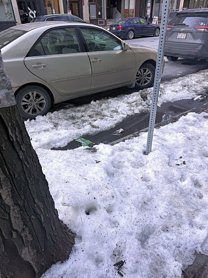 Image submitted with report