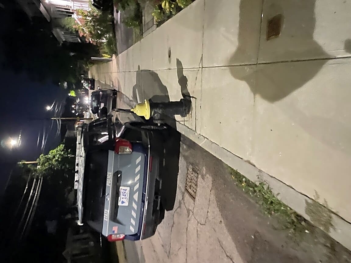 Image submitted with report