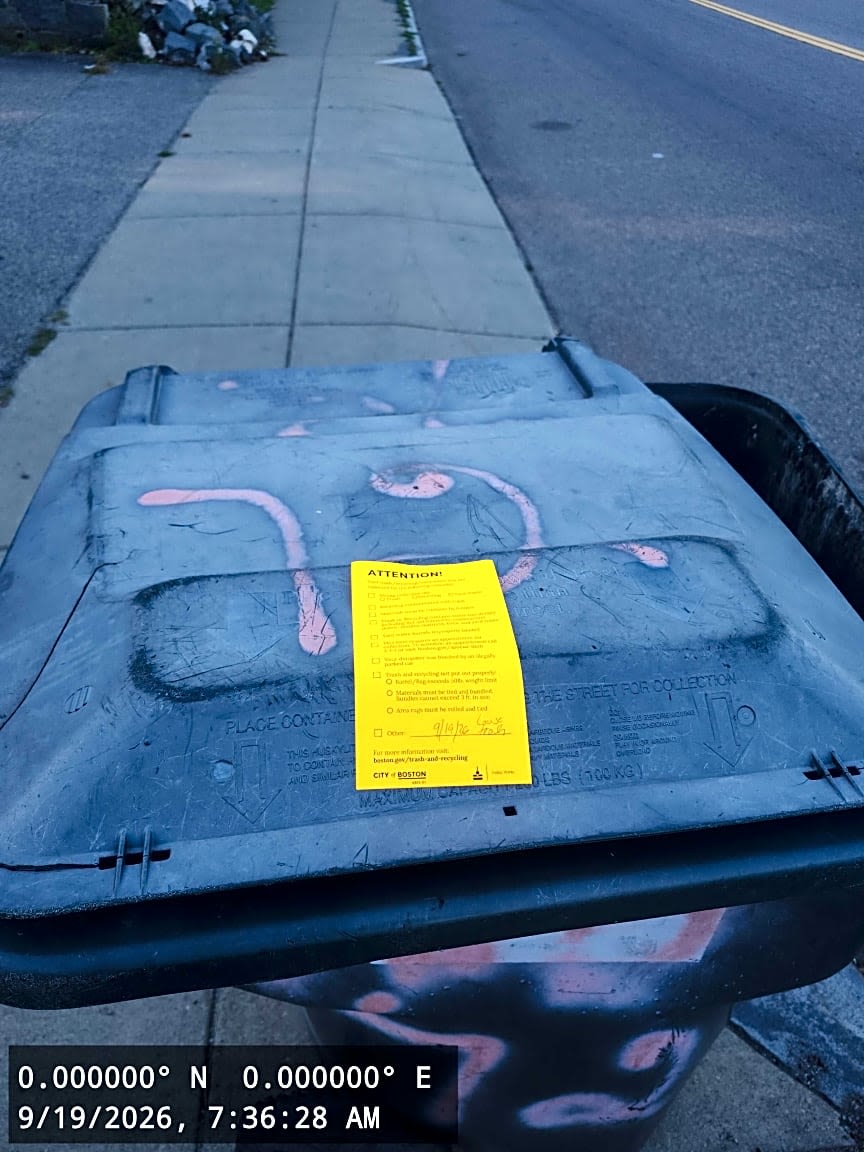 Image submitted with report