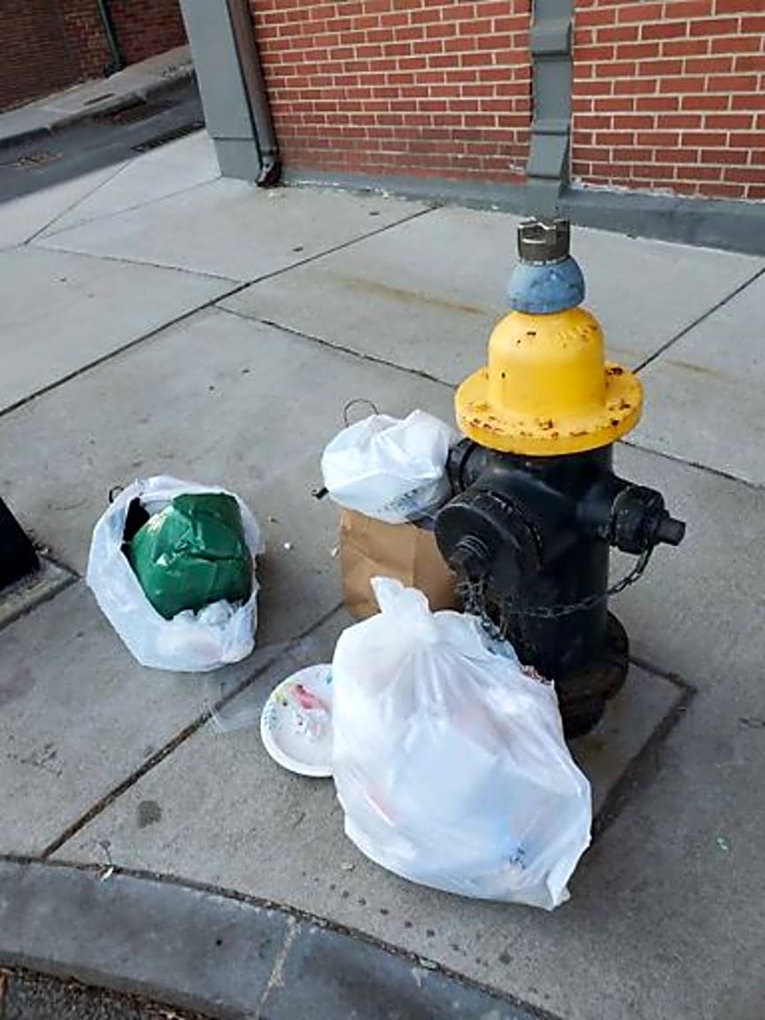 Image submitted with report