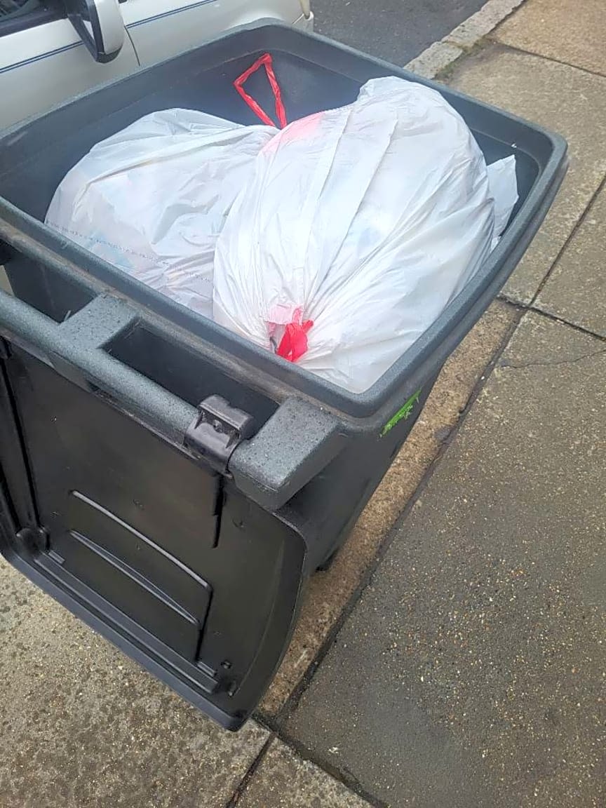 Image submitted with report