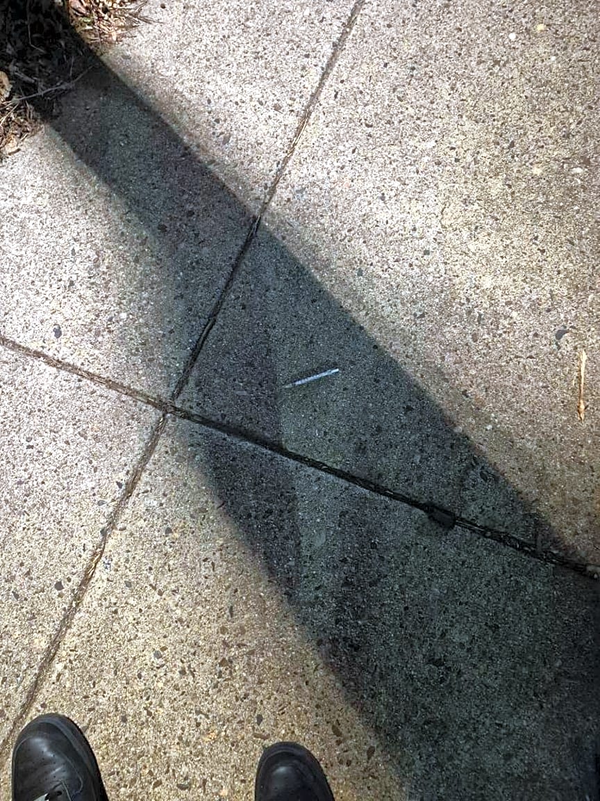 Image submitted with report