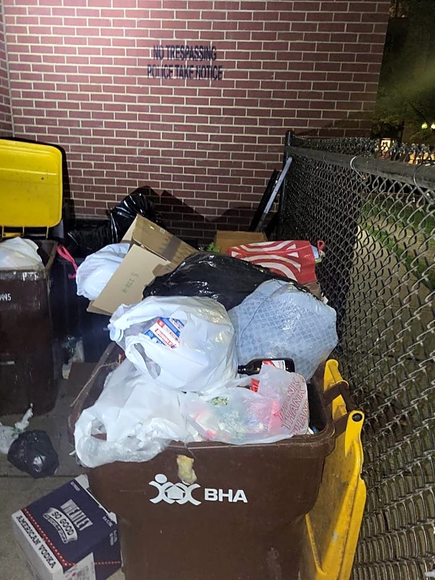Image submitted with report