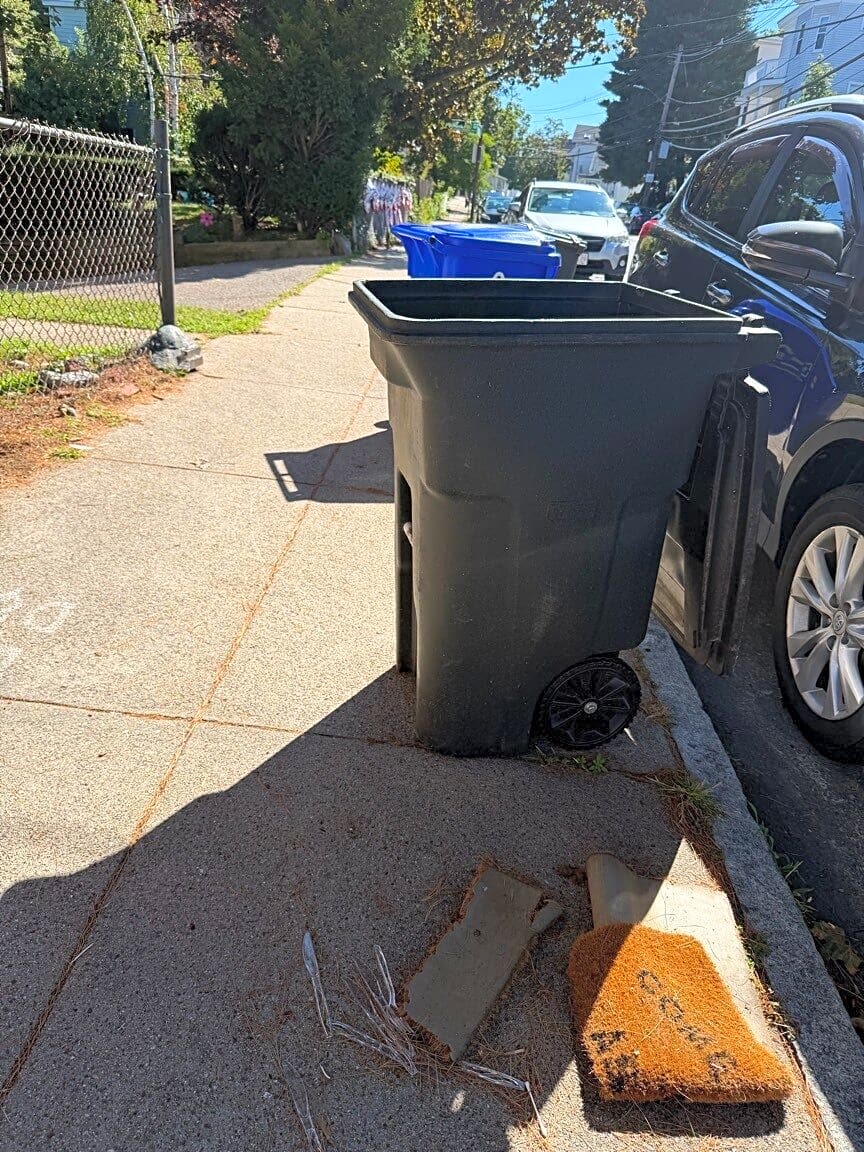 Image submitted with report